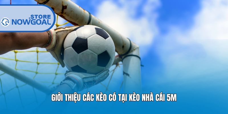 Giới thiệu các kèo có tại kèo nhà cái 5m
