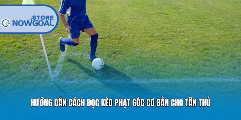 Hướng dẫn cách đọc kèo phạt góc cơ bản cho tân thủ