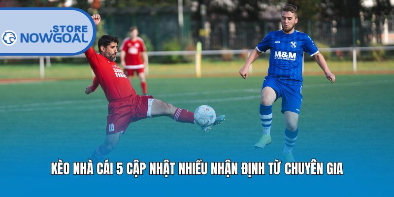 Kèo nhà cái 5 cập nhật nhiều nhận định từ chuyên gia