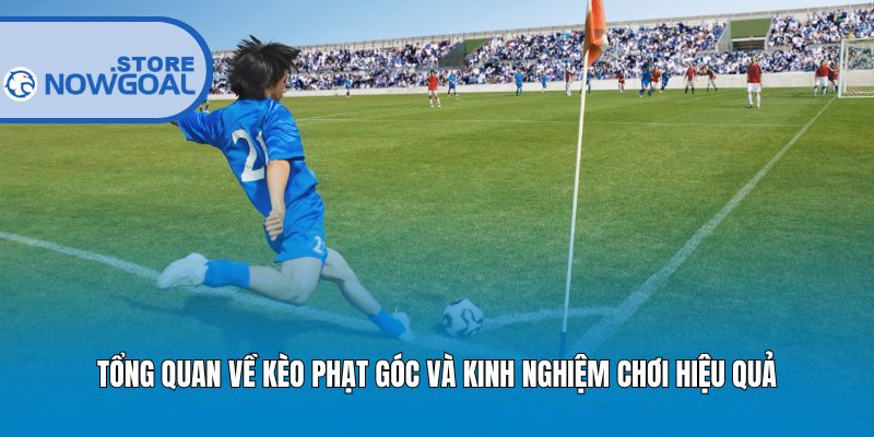 Tổng Quan Về Kèo Phạt Góc Và Kinh Nghiệm Chơi Hiệu Quả
