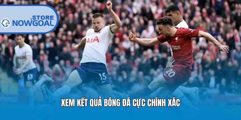 Xem kết quả bóng đá cực chính xác